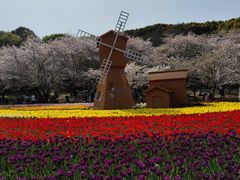 -苏州上方山国家森林公园