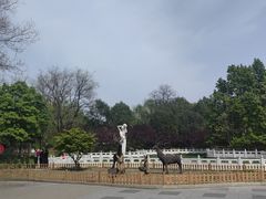 -丰台花园