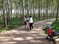 -仁和公园(顺义区)
