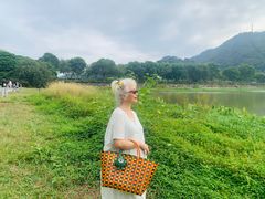 -风云岭森林公园