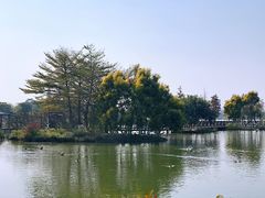 -海珠湖公园