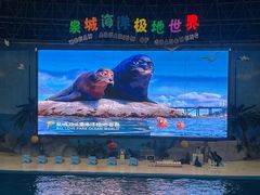 -泉城欧乐堡海洋极地世界