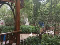 -太阳宫公园