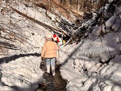 -峡谷浮石林景区