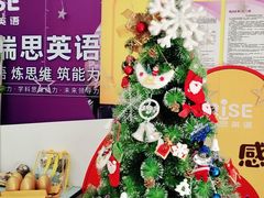 -瑞思少儿中心·少儿英语素养启蒙(新合作校区)