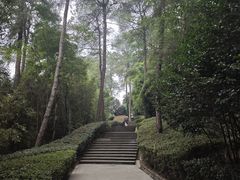 -铁山坪森林公园