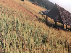 -湘邻呷铺·田园家宴(汉基广场店)