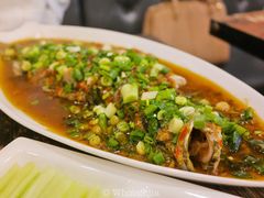 剁椒过水鱼-鱼乐乐(Happy Fish)