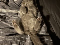 -白茅陈潮味天下(蓬仁园店)