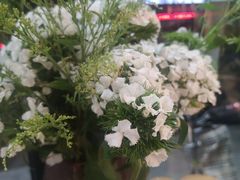 -囿面传统制面馆(中央路店)