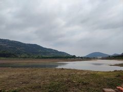 -风云岭森林公园