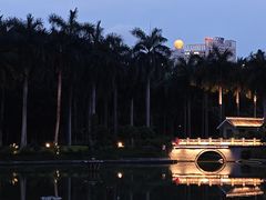 -南宁南湖公园