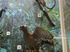 -国家自然博物馆