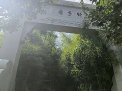 -竹子庵公园