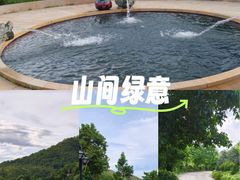 -雁南飞茶田景区