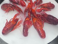 -红盔甲·小龙虾(人民广场店)