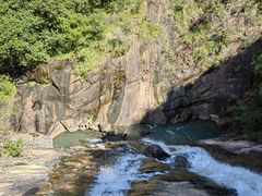 -广州白江湖森林公园