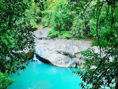 -广州白江湖森林公园