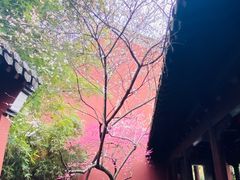 -钱王祠