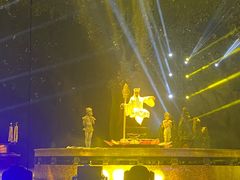 -灵玲国际马戏城