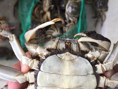 -江杨农产品批发市场