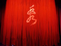 -水秀国际大剧院