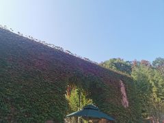 -蛇蟠岛