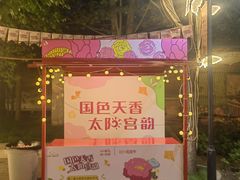 -太阳宫公园