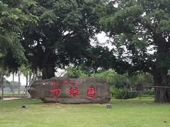 -万绿园