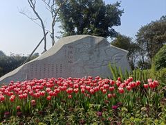 -铁山坪森林公园