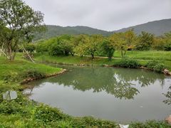 -龙寺生态园