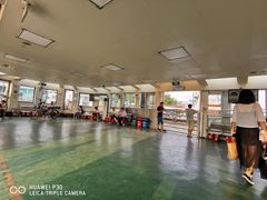 -鱼珠码头(轮渡站)