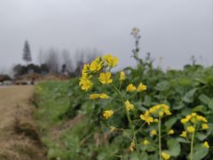 -中国天府农业博览园