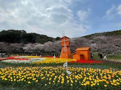-苏州上方山国家森林公园