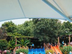 -苏州乐园森林水世界