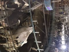-君乐宝优致牧场