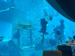 -海棠湾洲际-涛·海底餐厅·美人鱼·自助餐·海底隧道