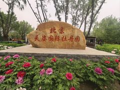 -太阳宫公园