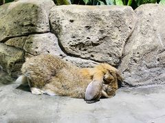-海合安武汉极地海洋公园