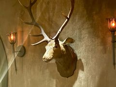 -暮色公园Twilight Park·威士忌Bar