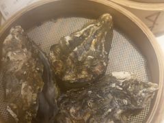 -杨氏青龙虾·羊蝎子(托乐嘉店)