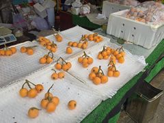 -南坛综合农贸市场