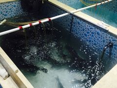 -宁记柴火灶台鱼·全鱼宴(龙源小区店)