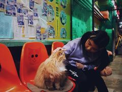 -猫咪博物馆(顶澳仔猫街店)