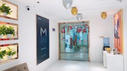 -MIVI野生眉纹绣纹眉