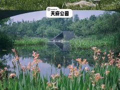 -望江楼公园