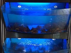水产区-薇满楼宴会中心(尚城国际购物中心店)