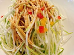 捞汁葫芦丝-峨嵋酒家(德内店)