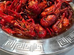 -大孩龙虾(体育场旗舰店)