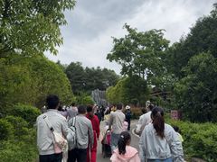 -贵州森林野生动物园